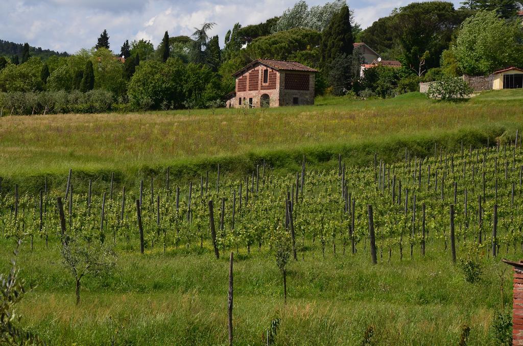 Agriturismo Al Podere Di Rosa Lucca Exterior photo