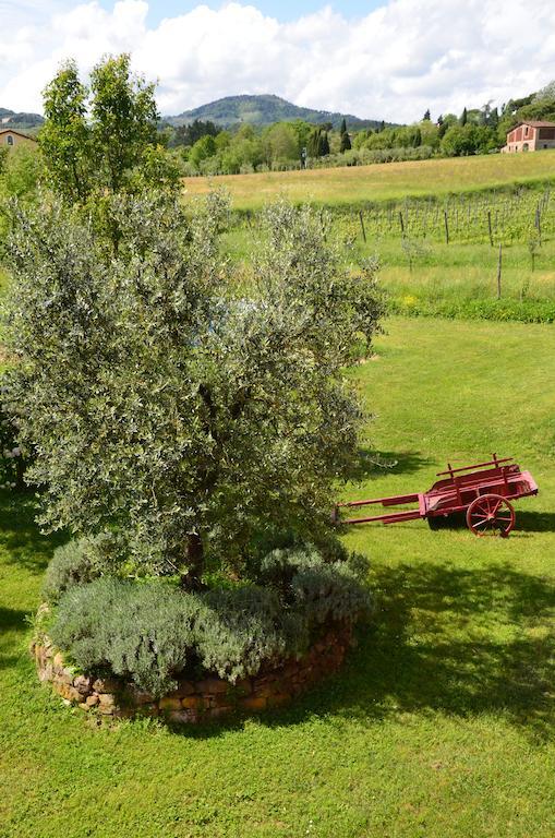 Agriturismo Al Podere Di Rosa Lucca Exterior photo