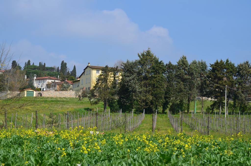 Agriturismo Al Podere Di Rosa Lucca Exterior photo