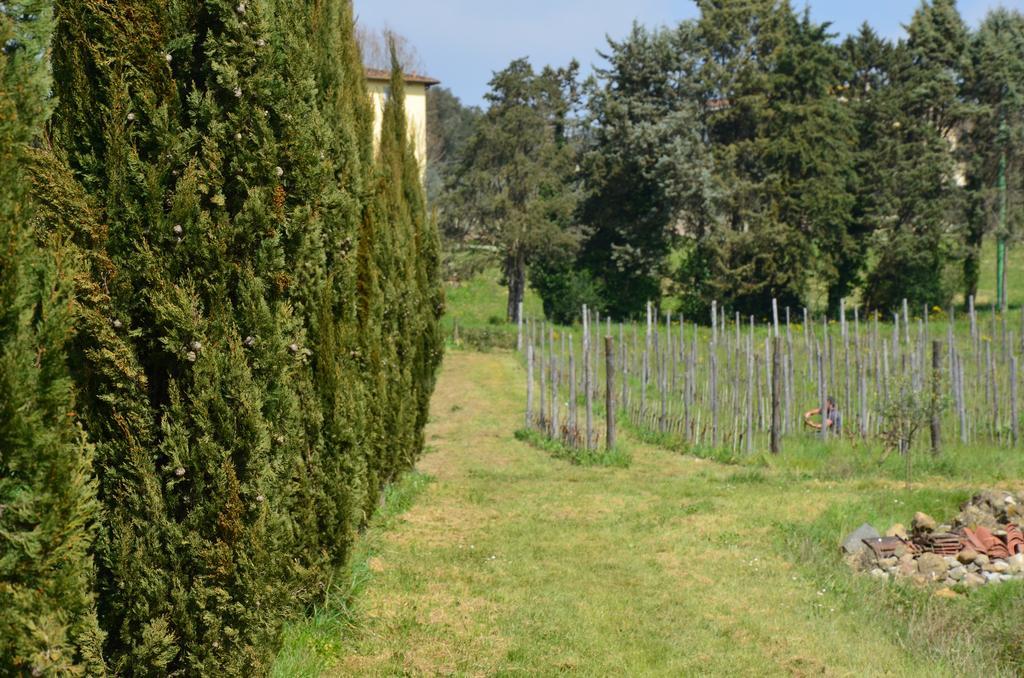 Agriturismo Al Podere Di Rosa Lucca Exterior photo